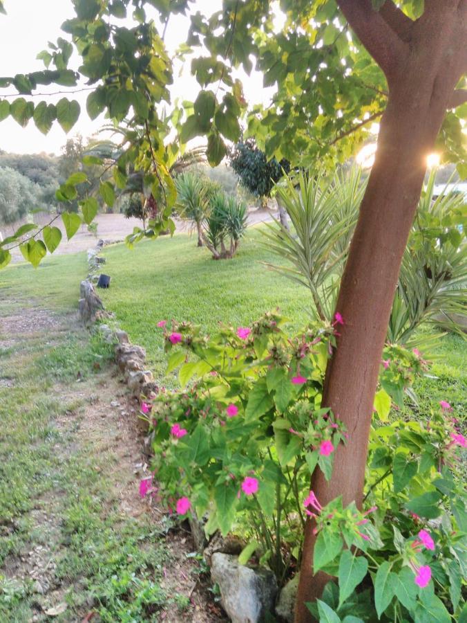 فيلا Santarémفي Quinta Da Perdiz Country House المظهر الخارجي الصورة