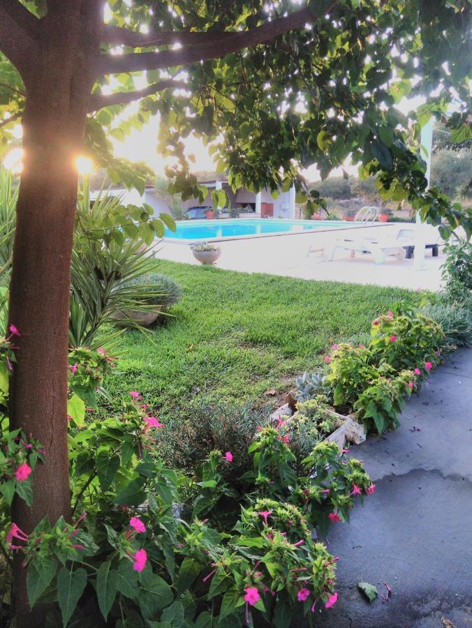 فيلا Santarémفي Quinta Da Perdiz Country House المظهر الخارجي الصورة
