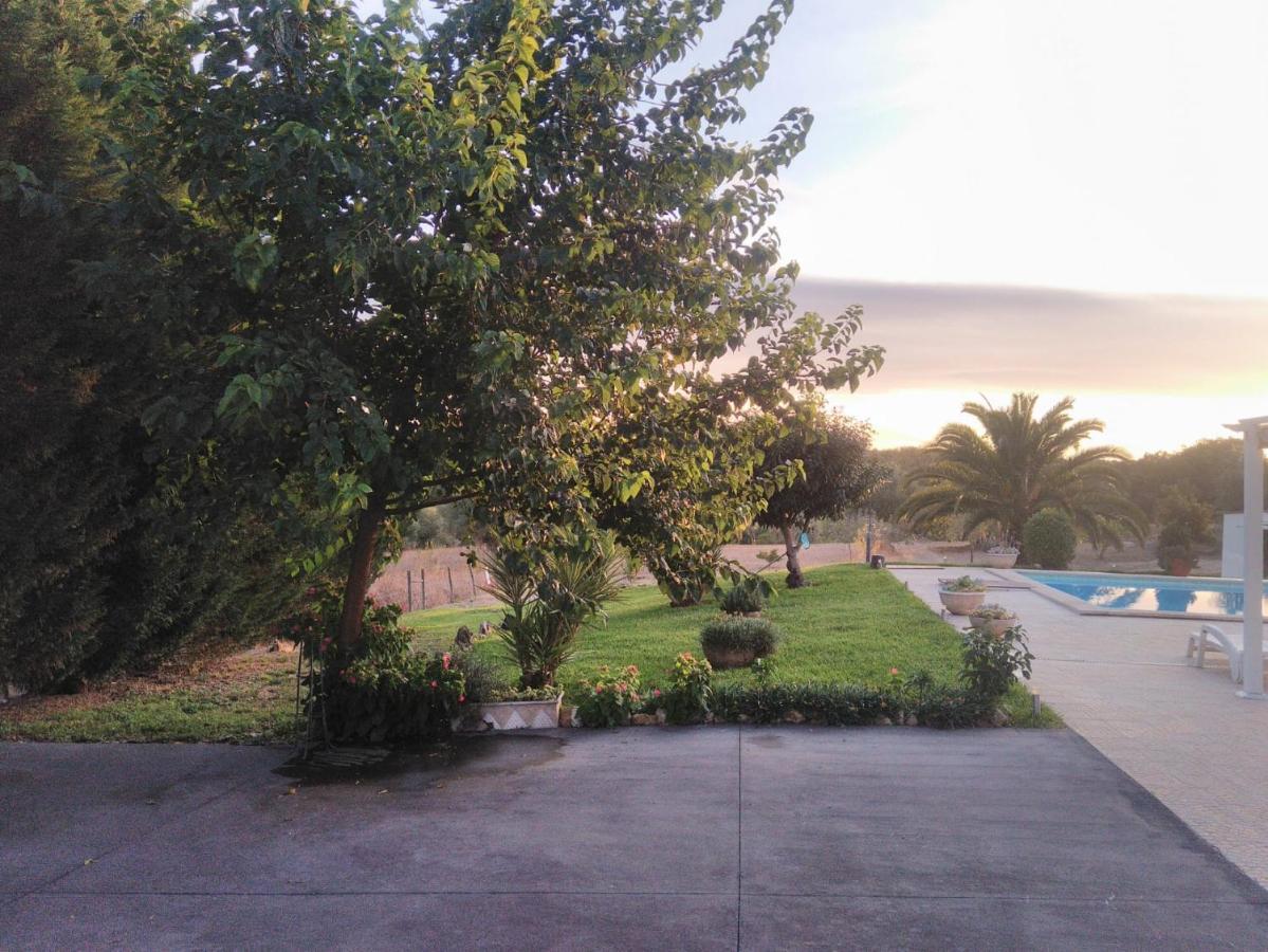 فيلا Santarémفي Quinta Da Perdiz Country House المظهر الخارجي الصورة